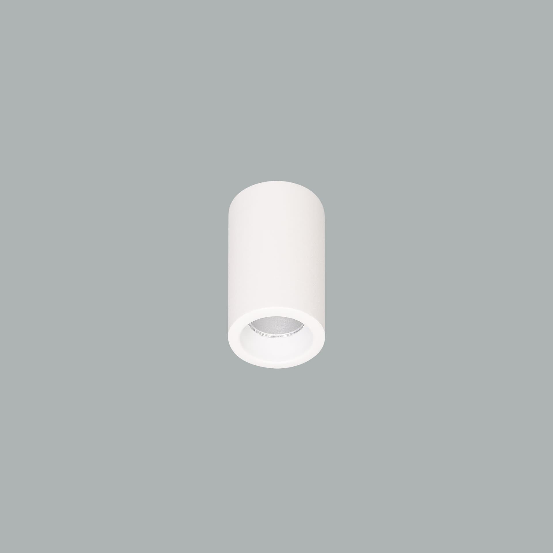 Cub Micro Surface.jpg