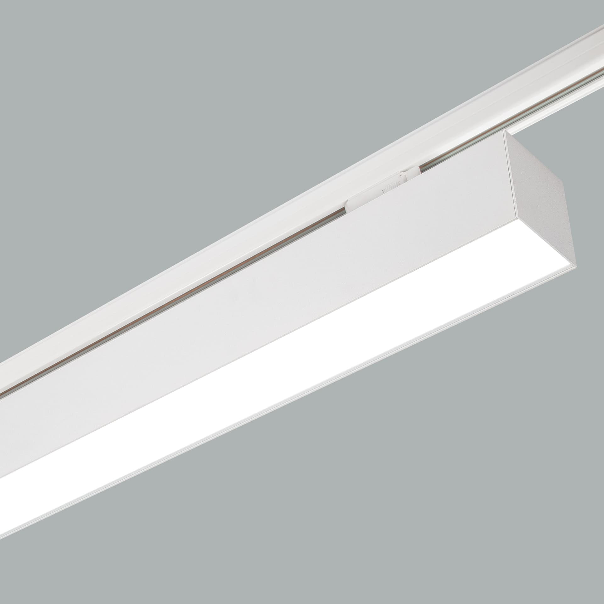 Cubus Track Mounted 2.jpg