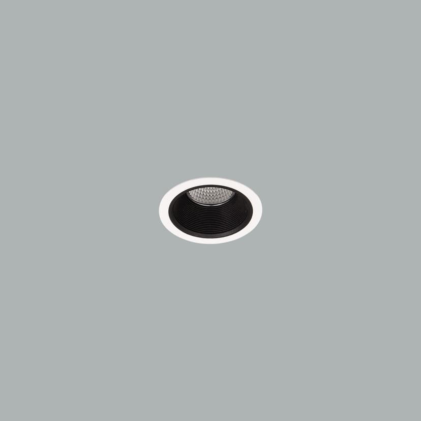Darklight