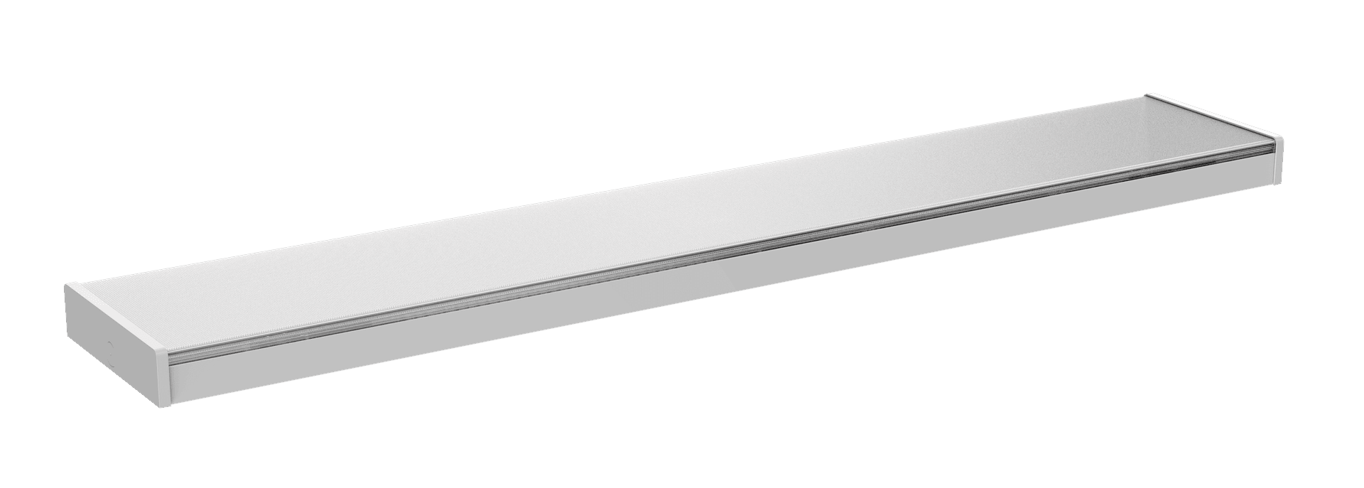 kaston-new.646 (1).png