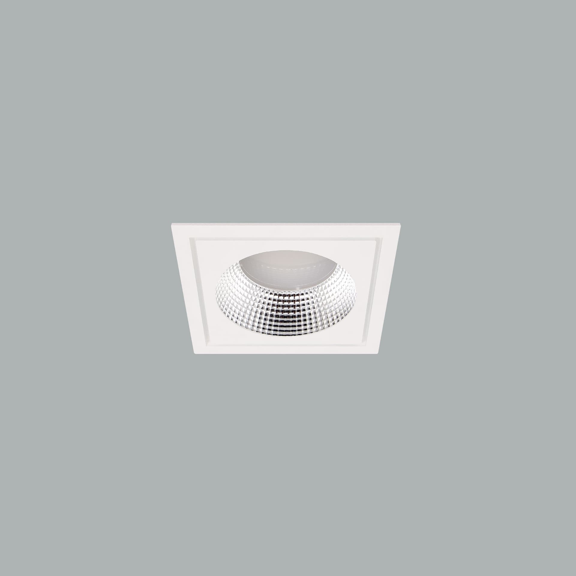 Leila Square Downlight.jpg
