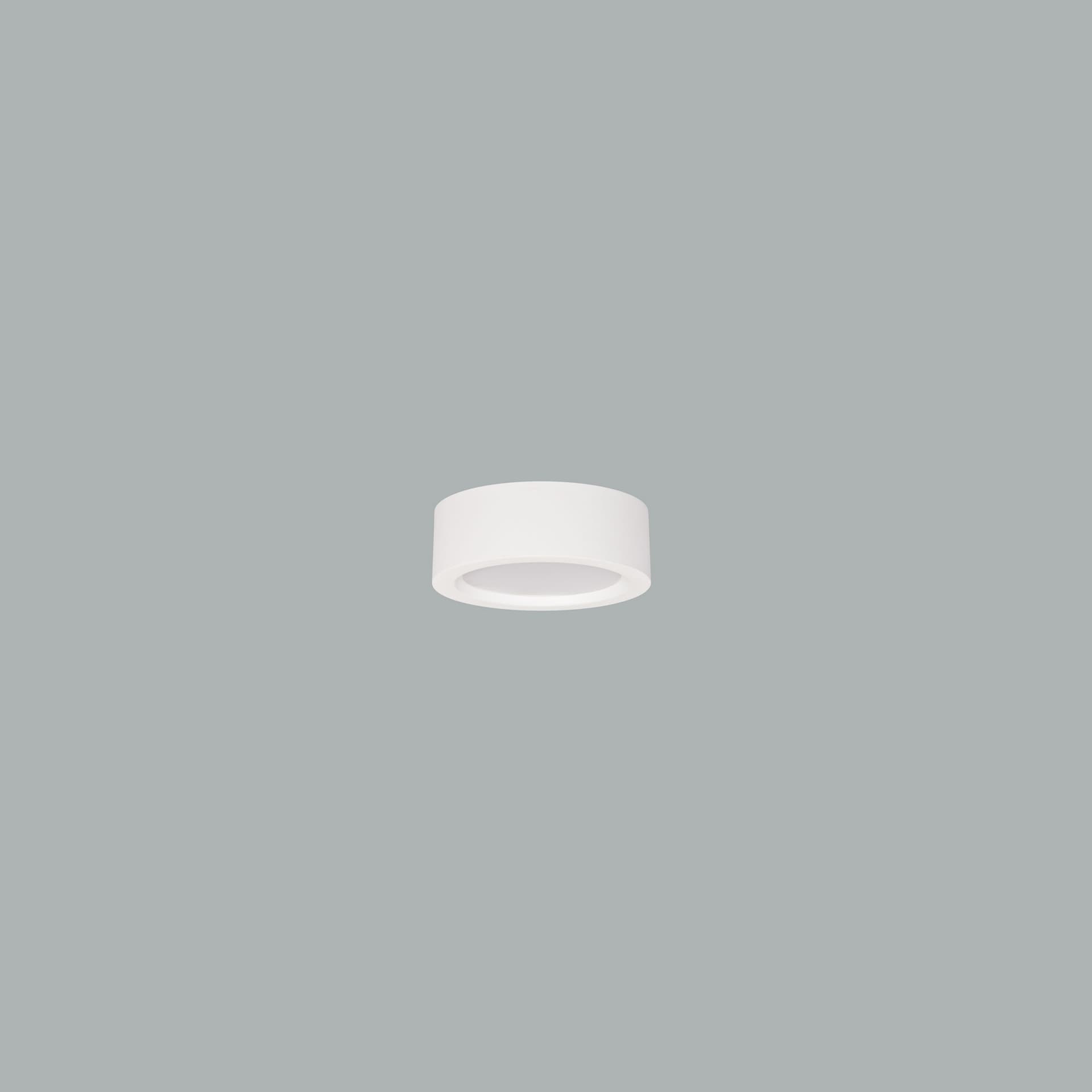 Neptun Mini Surface.jpg