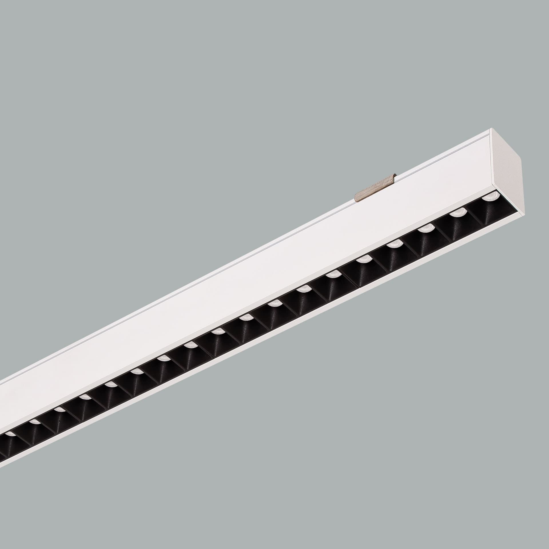 Pars Line Surface Mounted 2.jpg