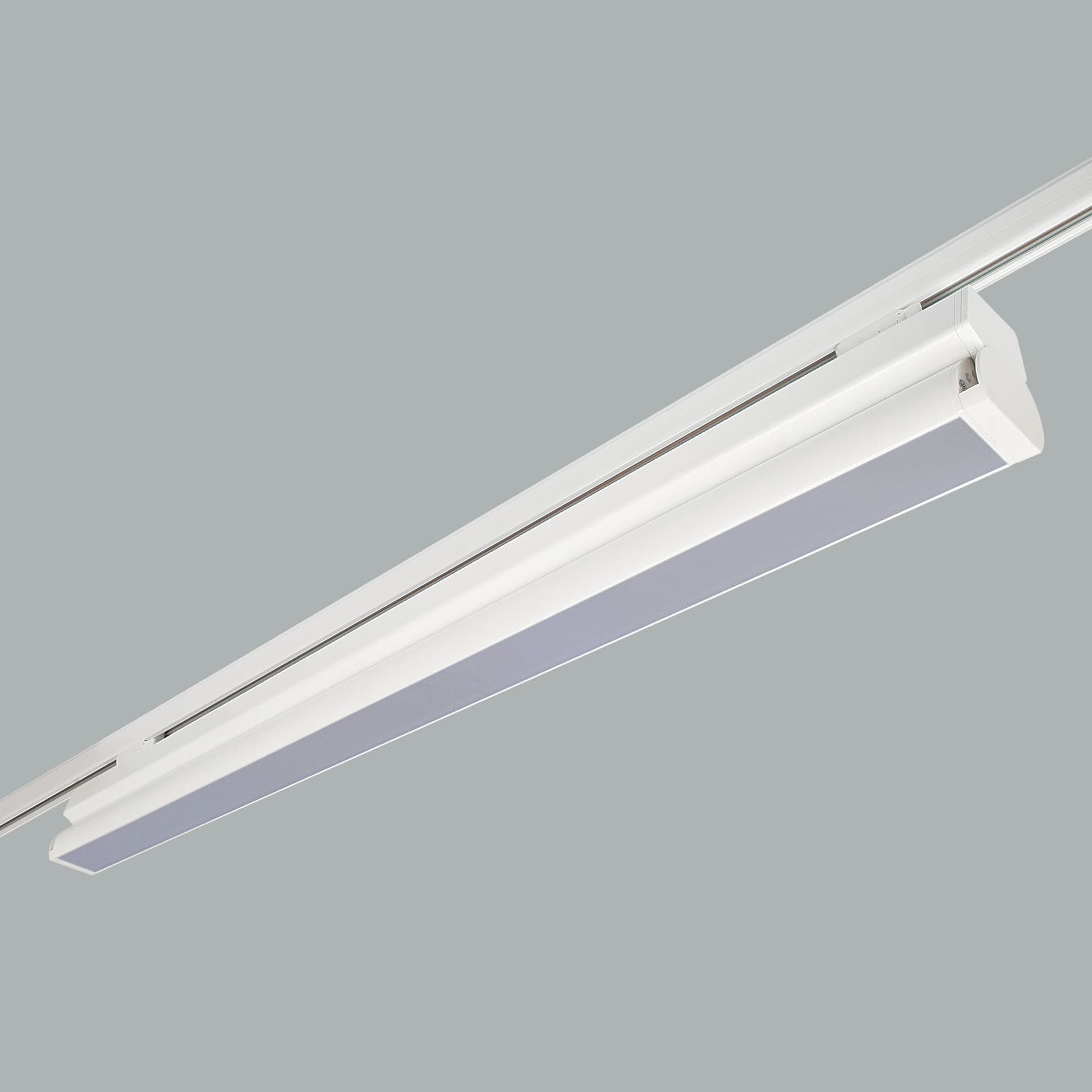 Rood Track Mounted.jpg