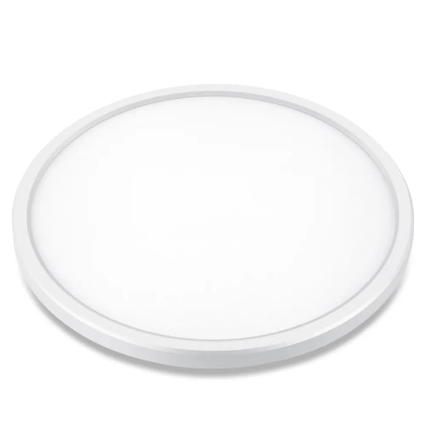 Discus